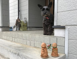 こうぼう樋口